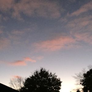 Meet your Posher, Lola